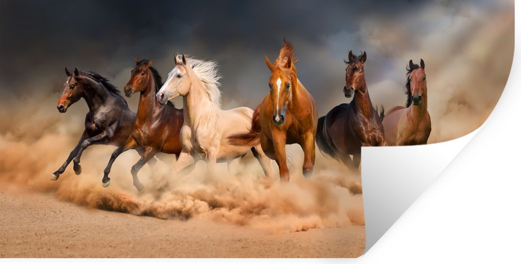 MuchoWow - Sticker - Dekorfolie