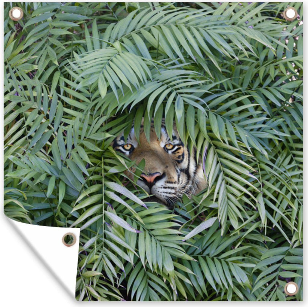 MuchoWow 100x100 cm Outdoor-Poster Gartendeko Sichtschutz Garten Poster für den Garten Versteckter Tiger zwischen den Pflanzen