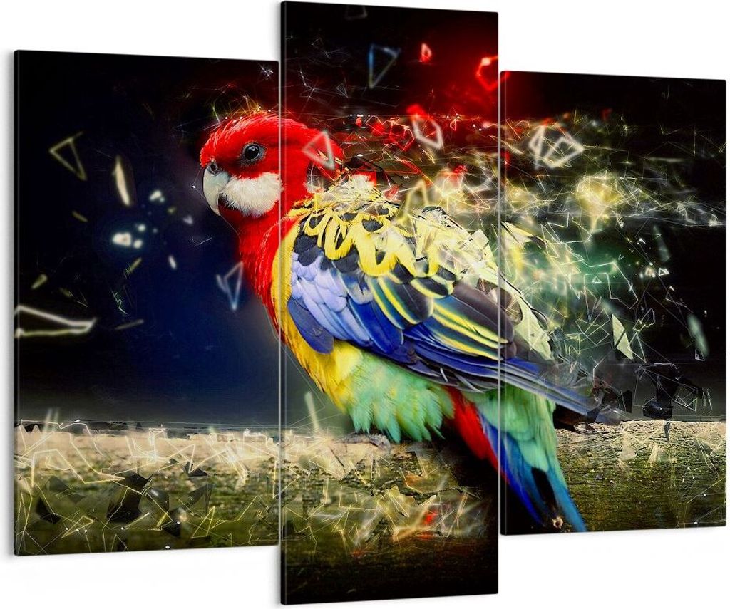 Bild auf Leinwand - Leinwandbild - Papagei Vogel Feder - 130x100cm - Wand Bild - Wanddeko - Leinwanddruck - Bilder - Kunstdruck - Wanddekoration - ...