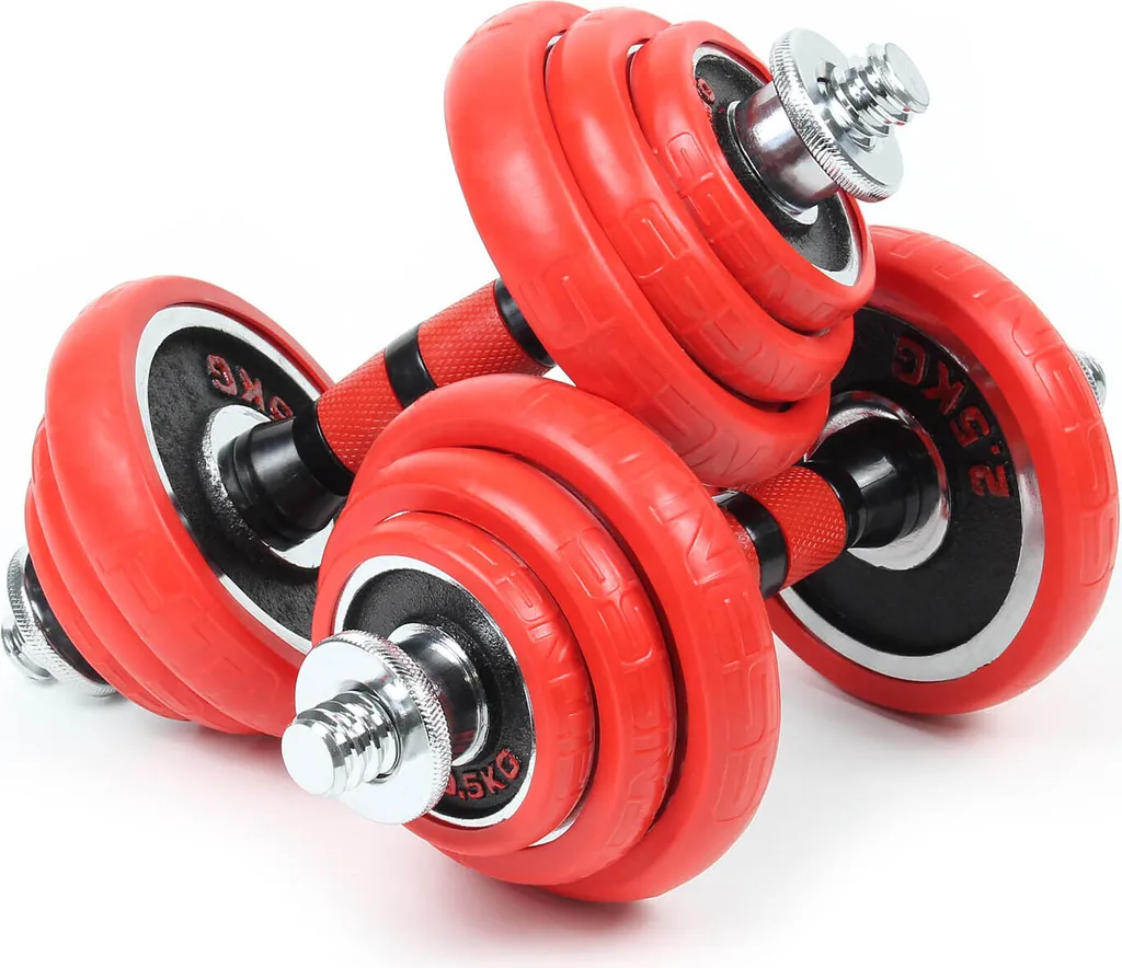 Haltères Musculation Maison 20kg avec Barre Longue pour Entraînement