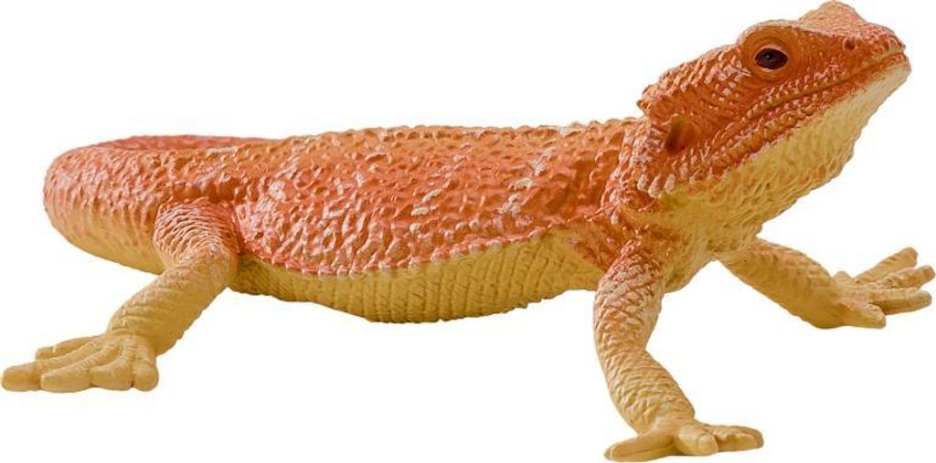 Mojo Fun Bearded Dragon, 3 Jahr(e), Wildlife, Braun, Rot, Produktbild 