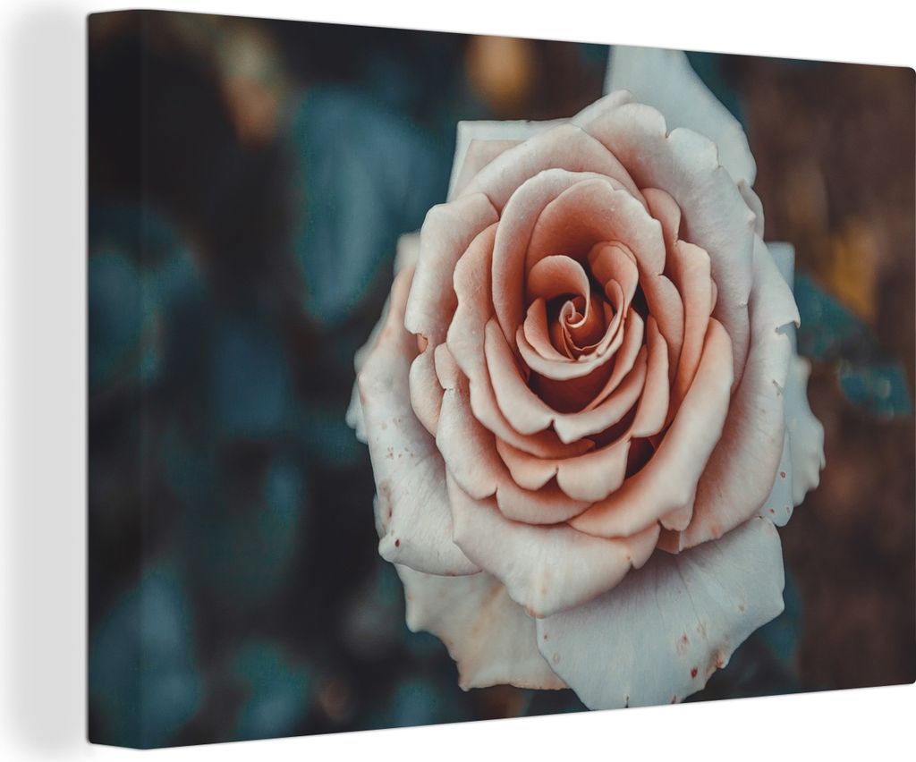 OneMillionCanvasses - Leinwandbilder - 150x100 cm, Blume - Weiß - Rosa, Wandbilder Kunstdruck Wanddekoration - Foto auf Leinwand - Gemälde auf ...