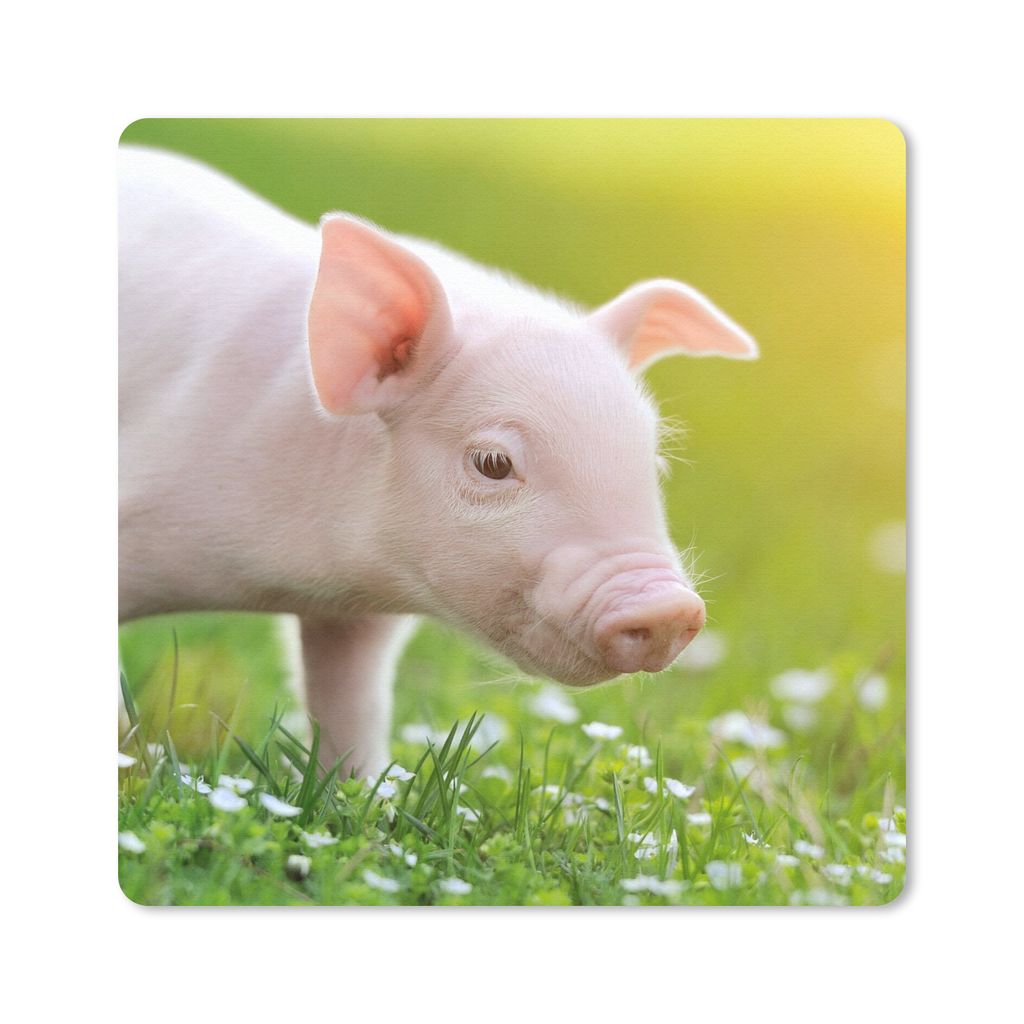 MuchoWow Mauspad Mousepad Tiere - Ferkel - Schwein 30x30 cm - Mousepads - Maus Mat - Pad - Mausunterlage - Gaming