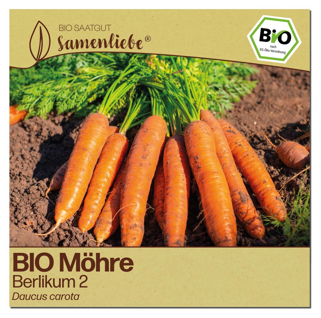 Samenliebe  Karotte Samen | Berlikum 2 - winterhart & Produktbild 