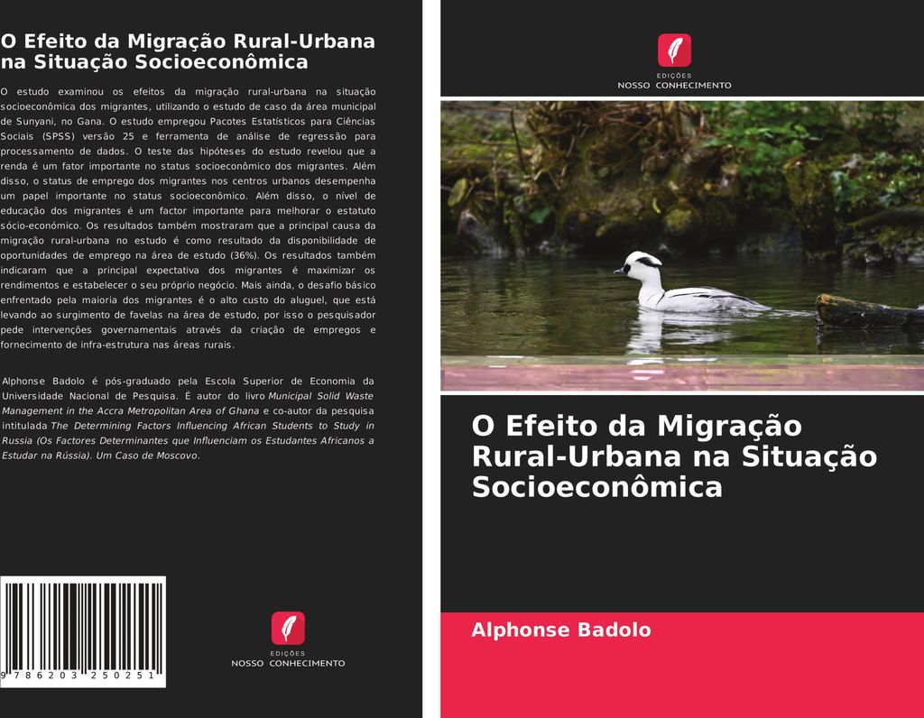 O Efeito da Migração Rural-Urbana na Situação Socioeconômica