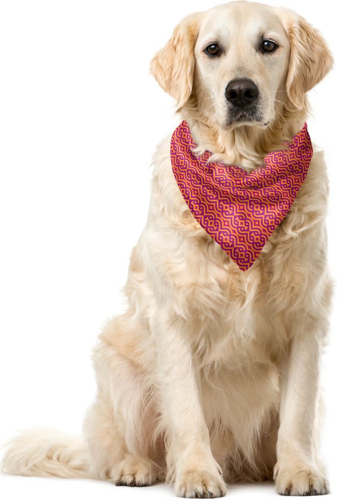 ABAKUHAUS Retro Haustier Bandana, Abstrakte Weinlese-böhmische Kunst, 40x40 cm, Pale Orange Lila