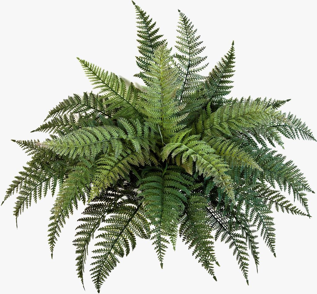 artplants.de Königsfarn Aaron, 35 Blätter, grün, auf Steckstab, 50cm, Ø 65cm - Künstliche Pflanze - Kunst Farn