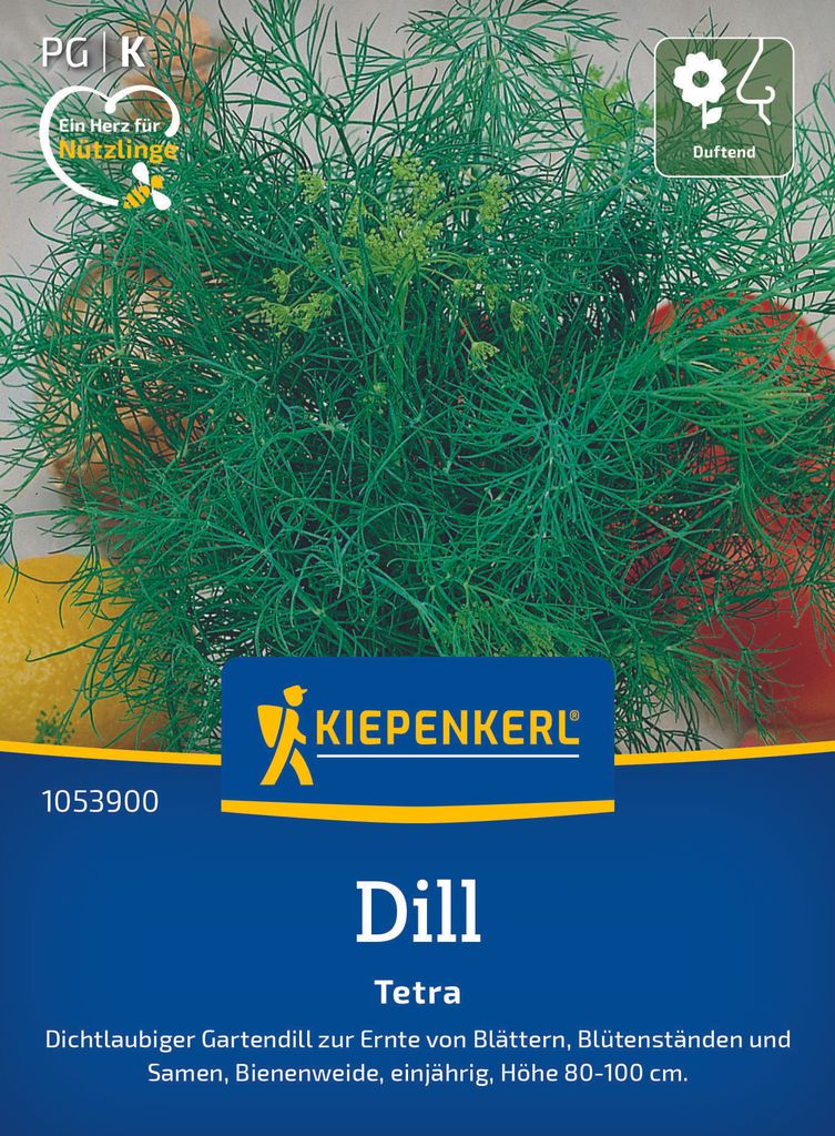 Kiepenkerl - Dill Tetra Samen - 1053900