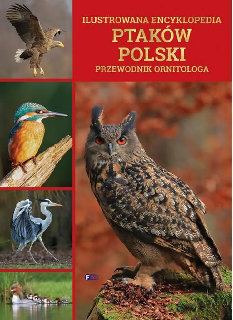 Encyclopédie oiseaux de Pologne : Le guide idéal pour vos voyages nature