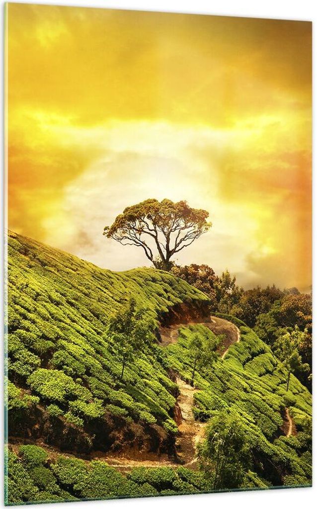 Bilder auf glas - Einteilig - Berg Baum Pfad Hügel - 70x100cm - Glasbilder - Wandbilder - Bilder - zum Aufhängen bereit - Wanddekoration aus Glas...