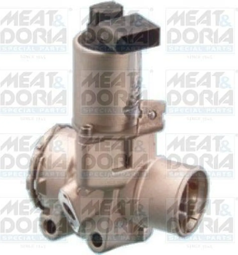 Réparation Vanne EGR Smart Fortwo - MEAT & DORIA 88018 Remplacement