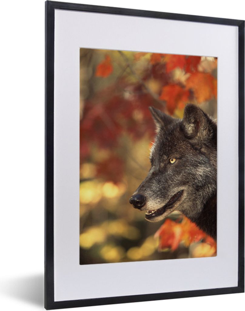 MuchoWow MuchoWow Gerahmtes Poster Wolf - Nahaufnahme - Blätter 30x40 cm - Poster mit zchwarzem Bilderrahmen - Wandposter Schlafzimmer