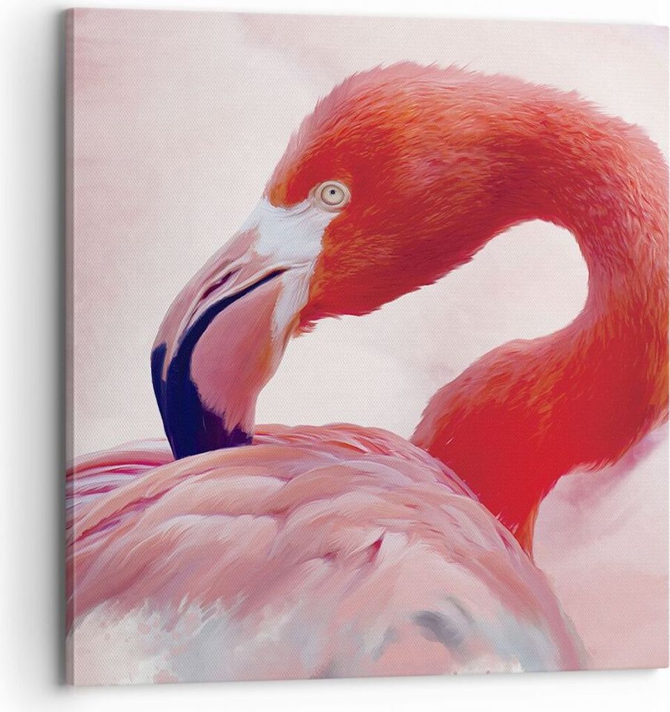 Bild auf Leinwand - Leinwandbild - Einteilig - Flamingo Vogel Porträt - 70x70cm - Wand Bild - Wanddeko - Wandbilder - Leinwanddruck - Bilder - Wan...