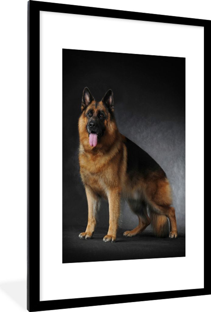 MuchoWow Gerahmtes Poster Porträt eines Deutschen Schäferhundes mit schwarzem Hintergrund 60x90 cm - Poster mit Schwarzem Bilderrahmen Wandpost...