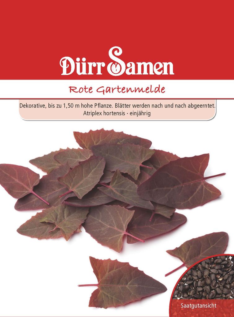 Rote Gartenmelde | Gartenmeldesamen von Dürr Samen Produktbild 