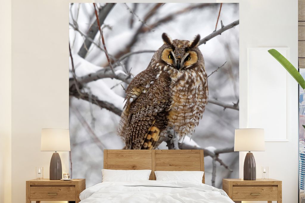 MuchoWow Fototapete für Wohnzimmer oder Schlafzimmer Wandtapete Vinyl Motivtapete Eine Waldohreule in einem Baum im Winter - 210x260 cm - Wand T...