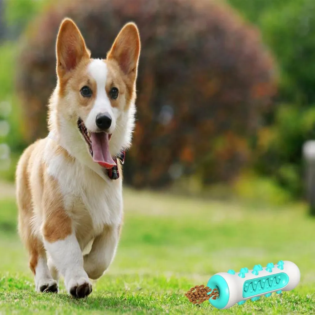 Os de dentition nettoyant en caoutchouc naturel bleu pour grand chien