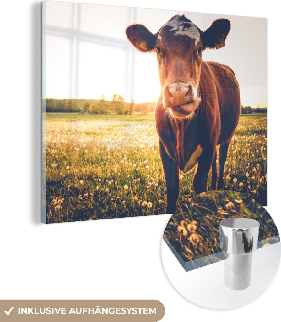 MuchoWow Glasbilder - Bilder auf Wandbild - Foto auf Glas Kuh - Sonnenuntergang - Blumen - Gras - Tiere 40x30 cm Wanddekoration aus Glas - Acrylgla...