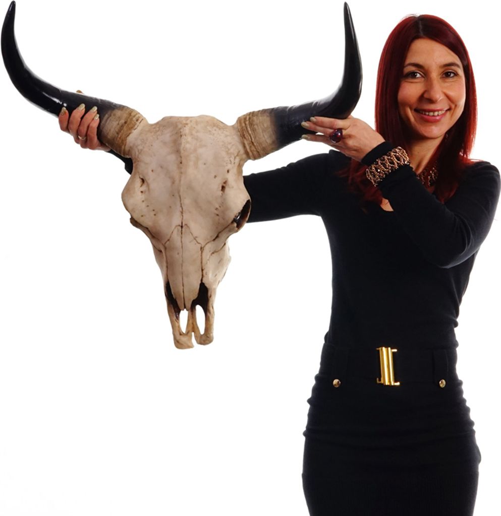 Deko Schädel 64cm, Polyresin Stier Bulle Longhorn Kopf Trophäe, In-/Outdoor natur