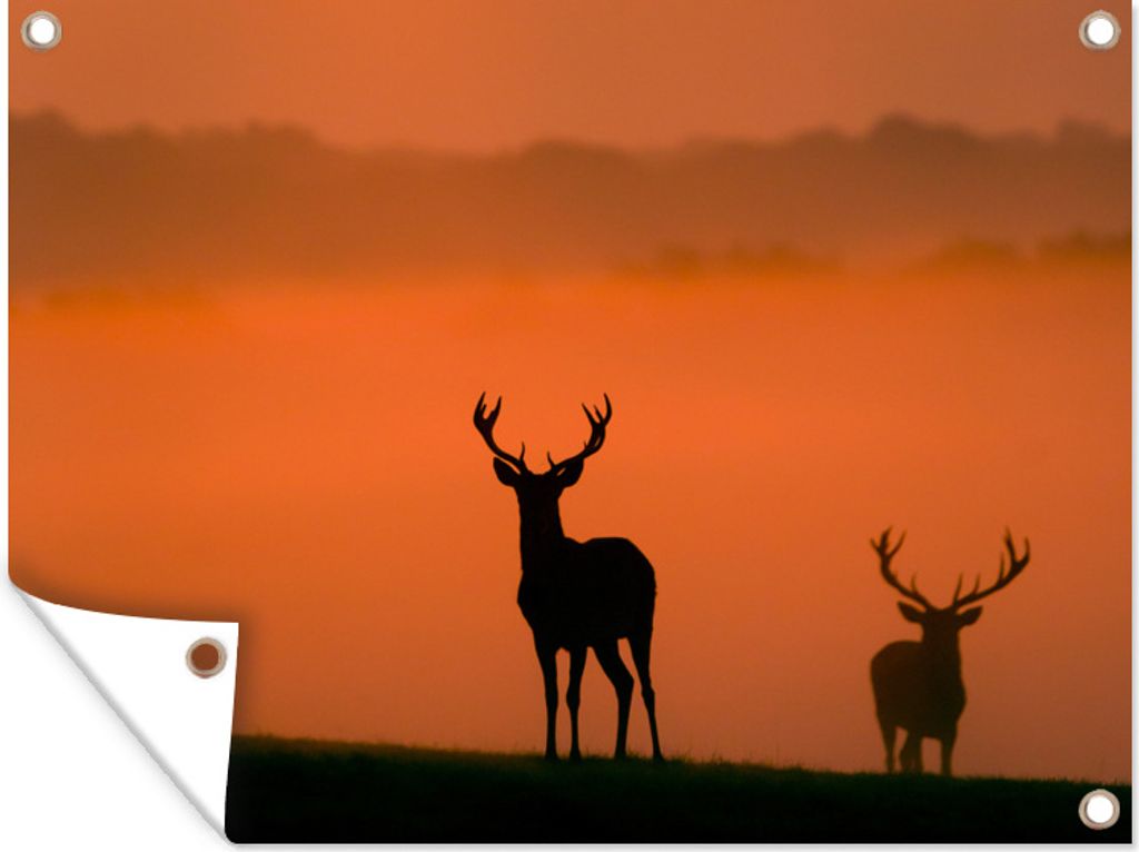MuchoWow 120x90 cm Outdoor-Poster Gartendeko Sichtschutz Garten Poster für den Garten Hirsch - Silhouette - Sonnenaufgang