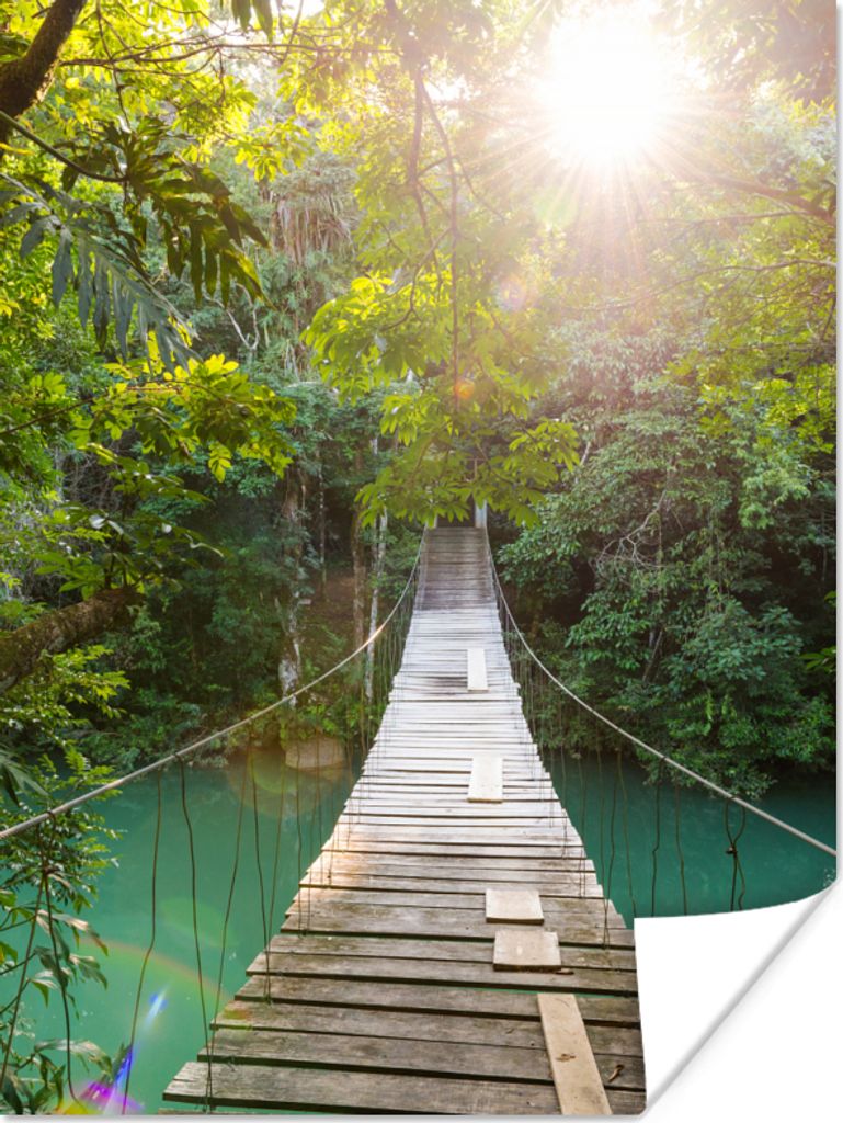 MuchoWow Poster Dschungel - Wasser - Brücke - Natur - Pflanzen 90x120 cm - Wohnzimmer