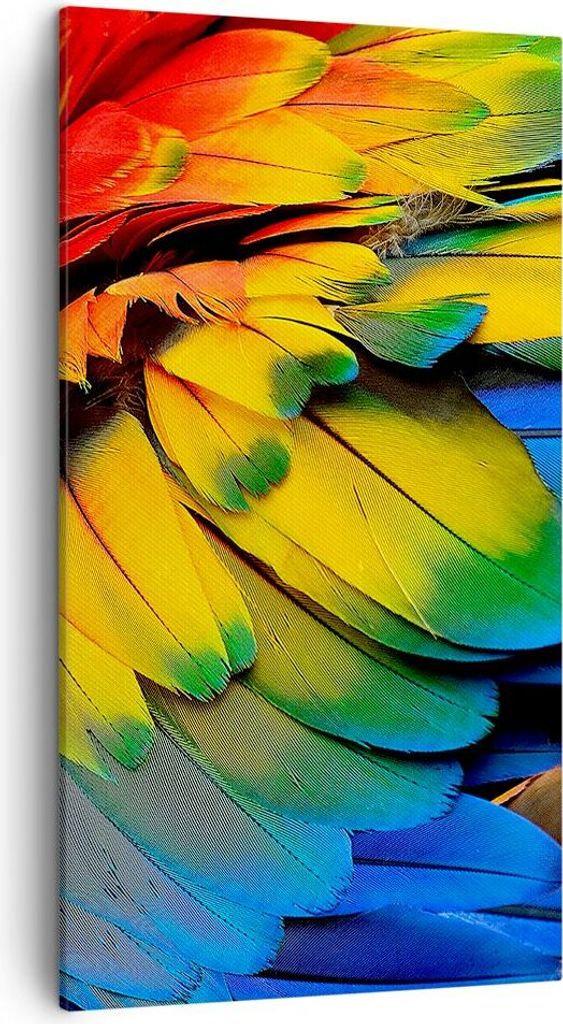 Bild auf Leinwand - Leinwandbild - Feder Papagei Vogel - 45x80cm - Wand Bild - Wanddeko - Wandbilder - Leinwanddruck - Bilder - Kunstdruck - Wandde...