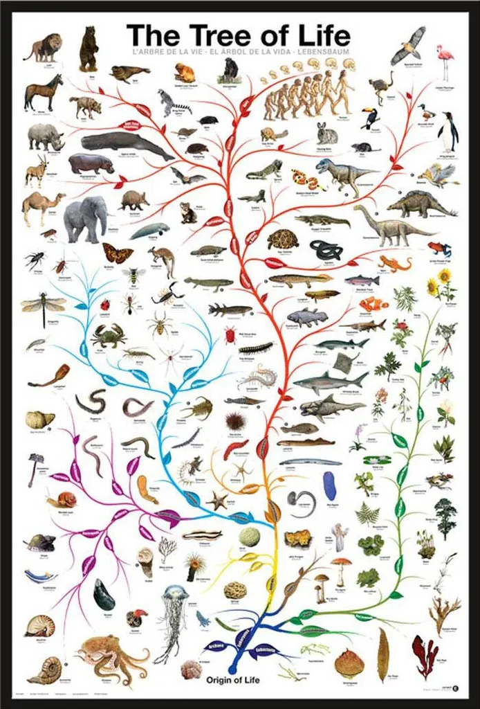 Affiche Arbre de Vie Shinsuke Maxi avec Cadre Noir en Plastique et Vitre