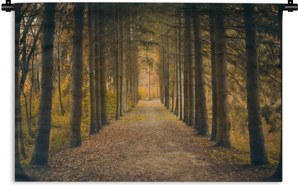 MuchoWow Wandteppich Wandbehang Pfad - Bäume - Wald 60x40 cm Tapisserie Dekoration Wandtuch - Wanddekorationen