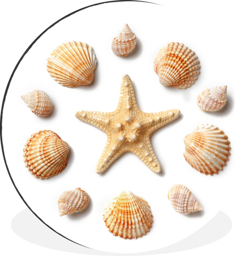 MuchoWow - Wand Bild - Wohnzimmer - Runde Bilder - Alubilder - Kunst für zu Hause - Aluminium - Wanddekoration