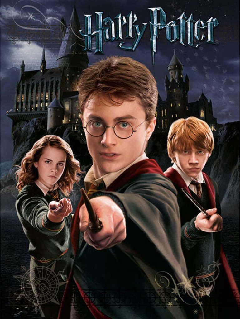 Harry Potter - Leinwanddruck PM3344 (40 cm x 30 cm) (Grau/Schwarz)