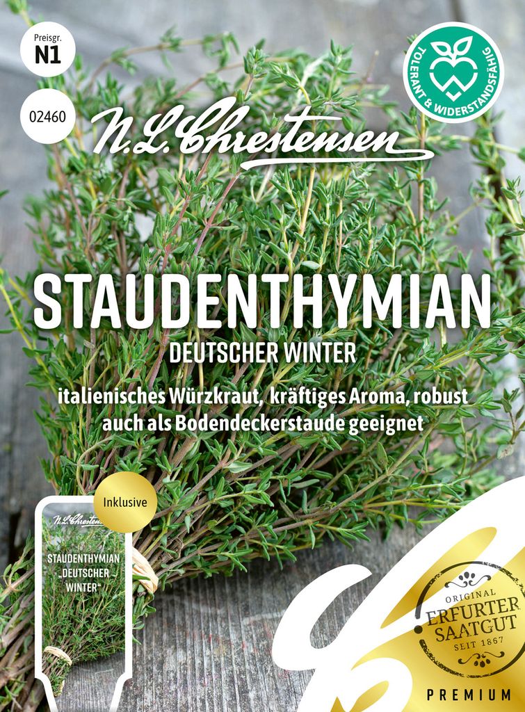 Staudenthymian Deutscher Winter | Thymiansamen von N.L. Chrestensen