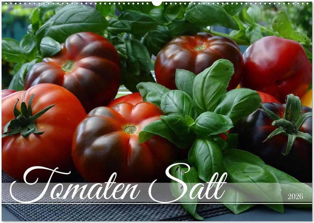 Tomaten Satt (Wandkalender 2026 DIN A2 quer), CALVENDO Monatskalender