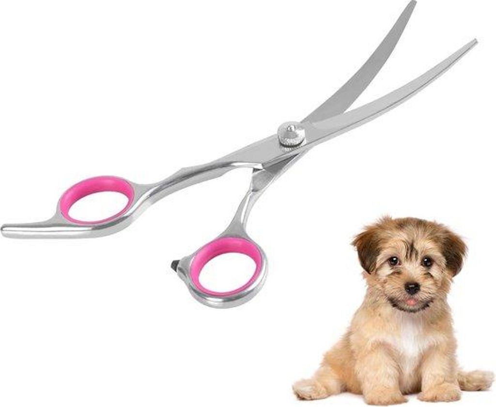 6-Zoll-gebogene Pflege-Schere für Hunde und Katzen – Trimmen der Augenpartie aus Edelstahl – Haareschneiden bei Hunden und Katzen – Pflege-S...
