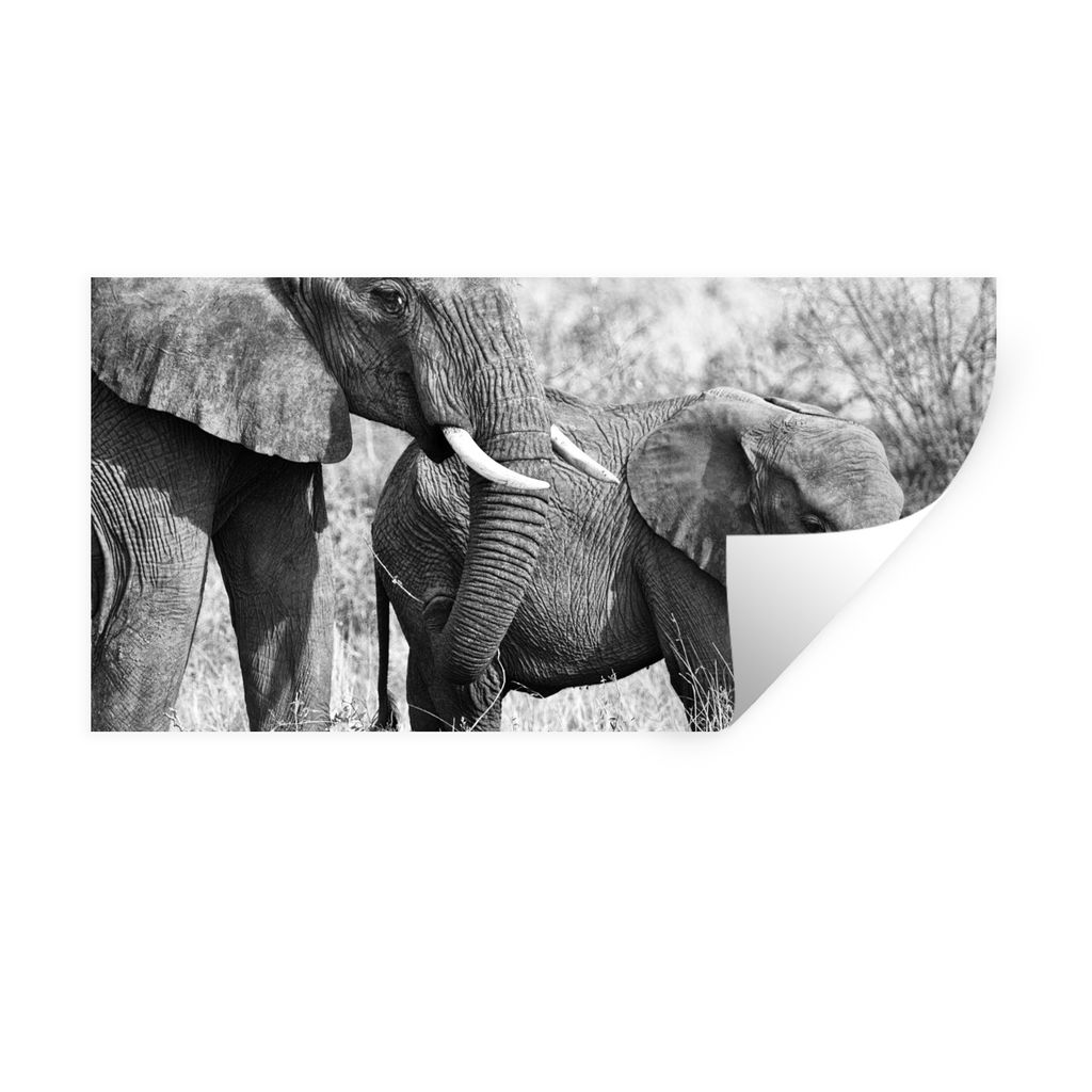 MuchoWow Wandtattoo Wandsticker Wandaufkleber Elefant - Tiere - Gras - Schwarz und weiß 40x20 cm Selbstklebend und Repositionierbar - Aufkleber