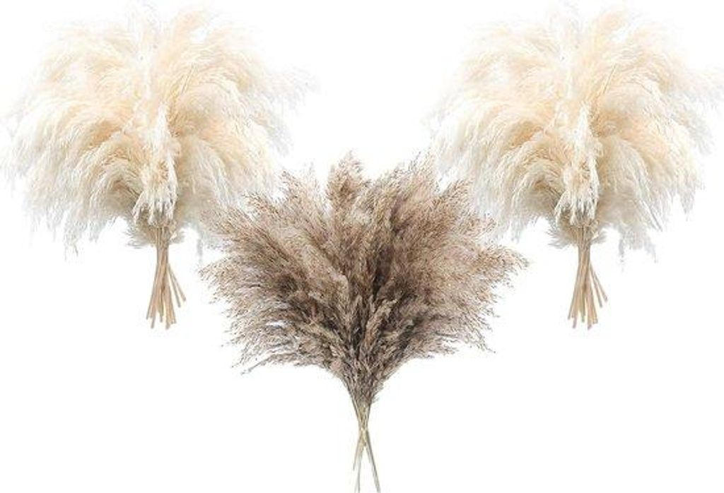 Pampas-Grasbündel mit weichen, natürlichen Fäden, kleine weiße Pampas-Gras, Boho-Interieur Dekoration, Großpackung, Tischschmuck