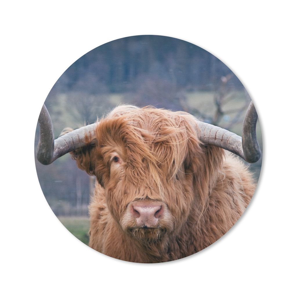 MuchoWow Mauspad Mousepad Schottischer Highlander - Kuhkopf - Landschaft - Natur - Kuh 40x40 cm - Mousepads - Maus Mat - Pad - Mausunterlage - Sc...