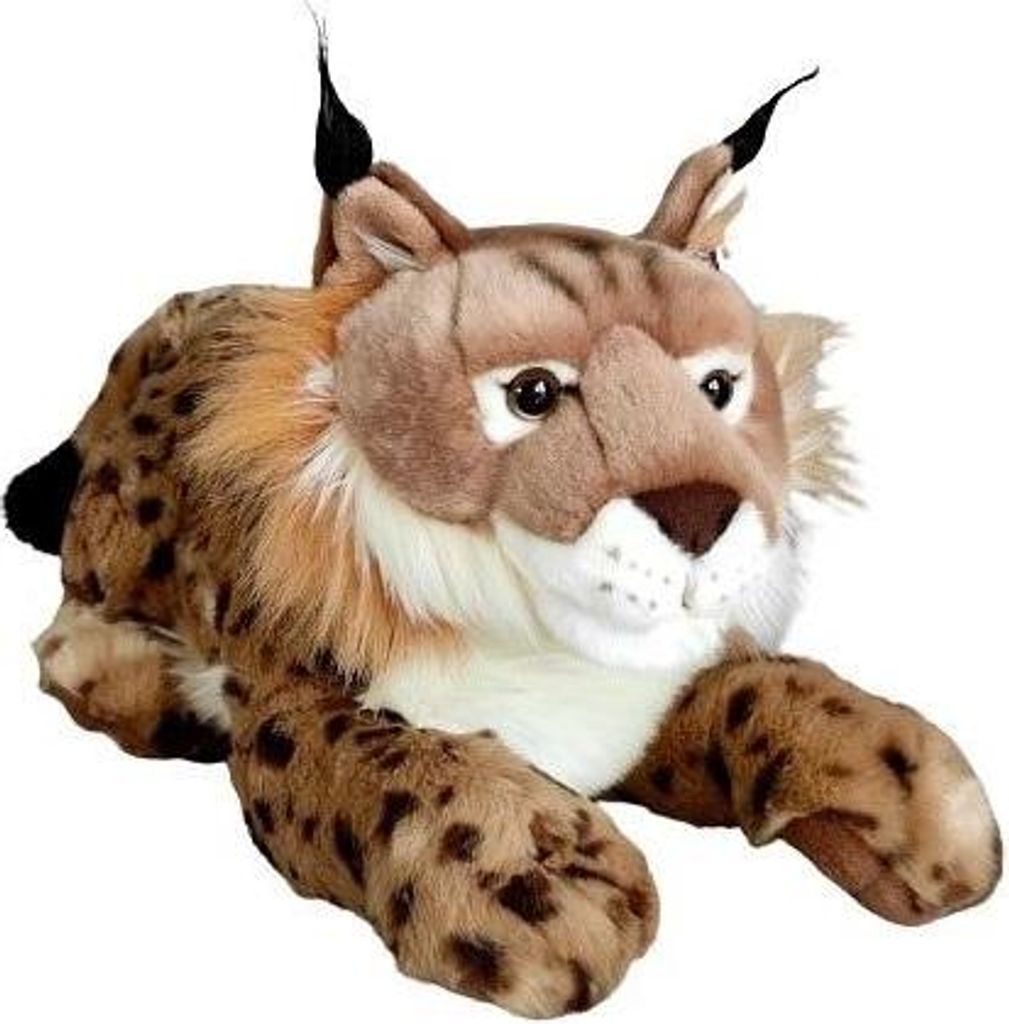 Ryś 50cm Produktbild 