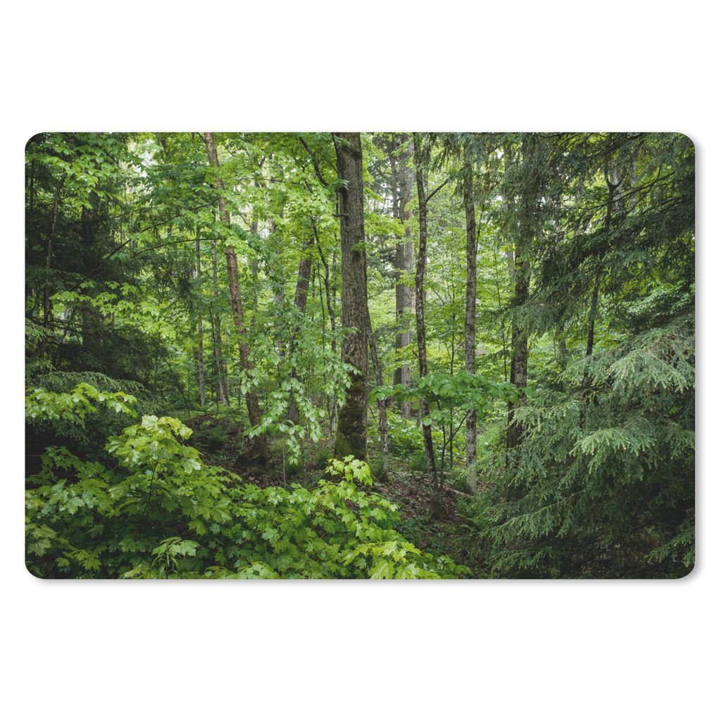 MuchoWow Schreibtischunterlage Wald - Baum - Grün 60x40 cm - XXL Mauspad - Großes Mauspad