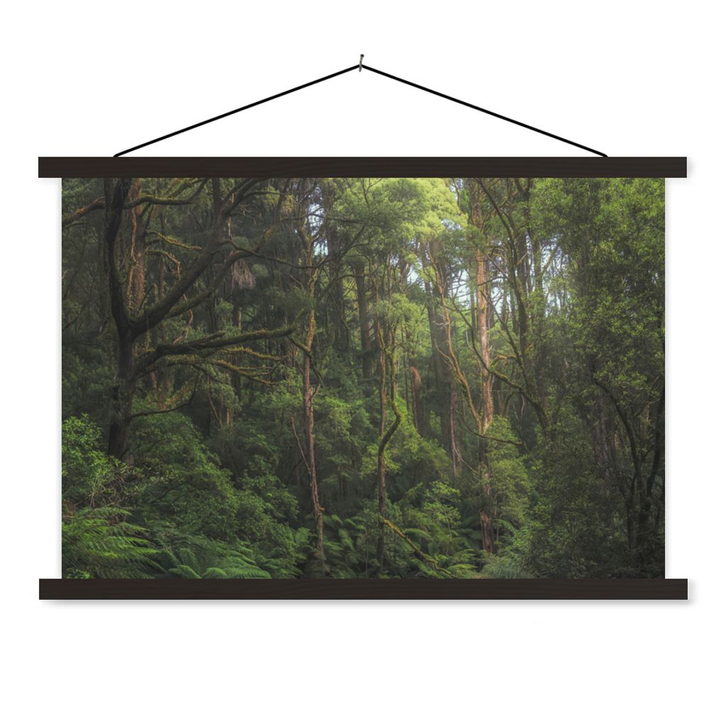 MuchoWow Textilposter Dschungel in Australien 60x40 cm mit schwarzem Rahmen - Hölzernes