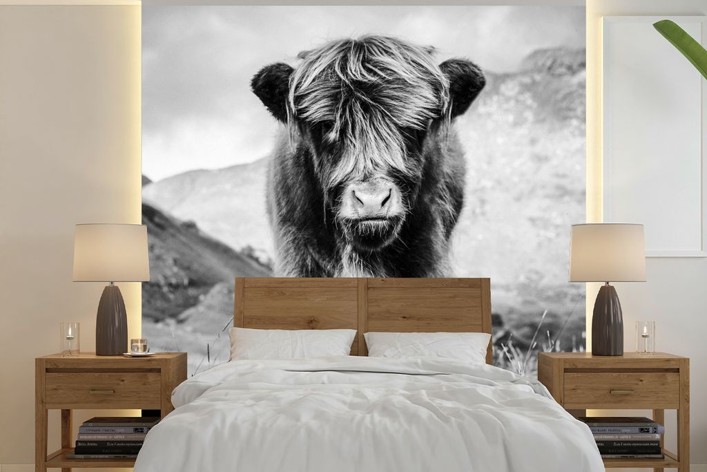 MuchoWow Fototapete für Wohnzimmer oder Schlafzimmer Wandtapete Vinyl Motivtapete Schottischer Highlander - Berg - Schwarz - Weiß - 220x220 cm ...