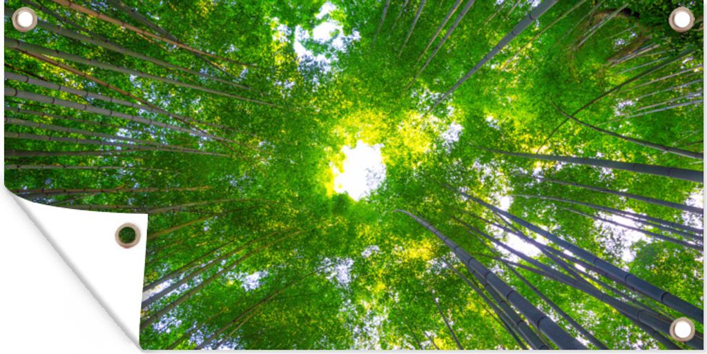 MuchoWow 60x30 cm Outdoor-Poster Gartendeko Sichtschutz Garten Poster für den Garten Baumkronen im Arashiyama-Bambuswald