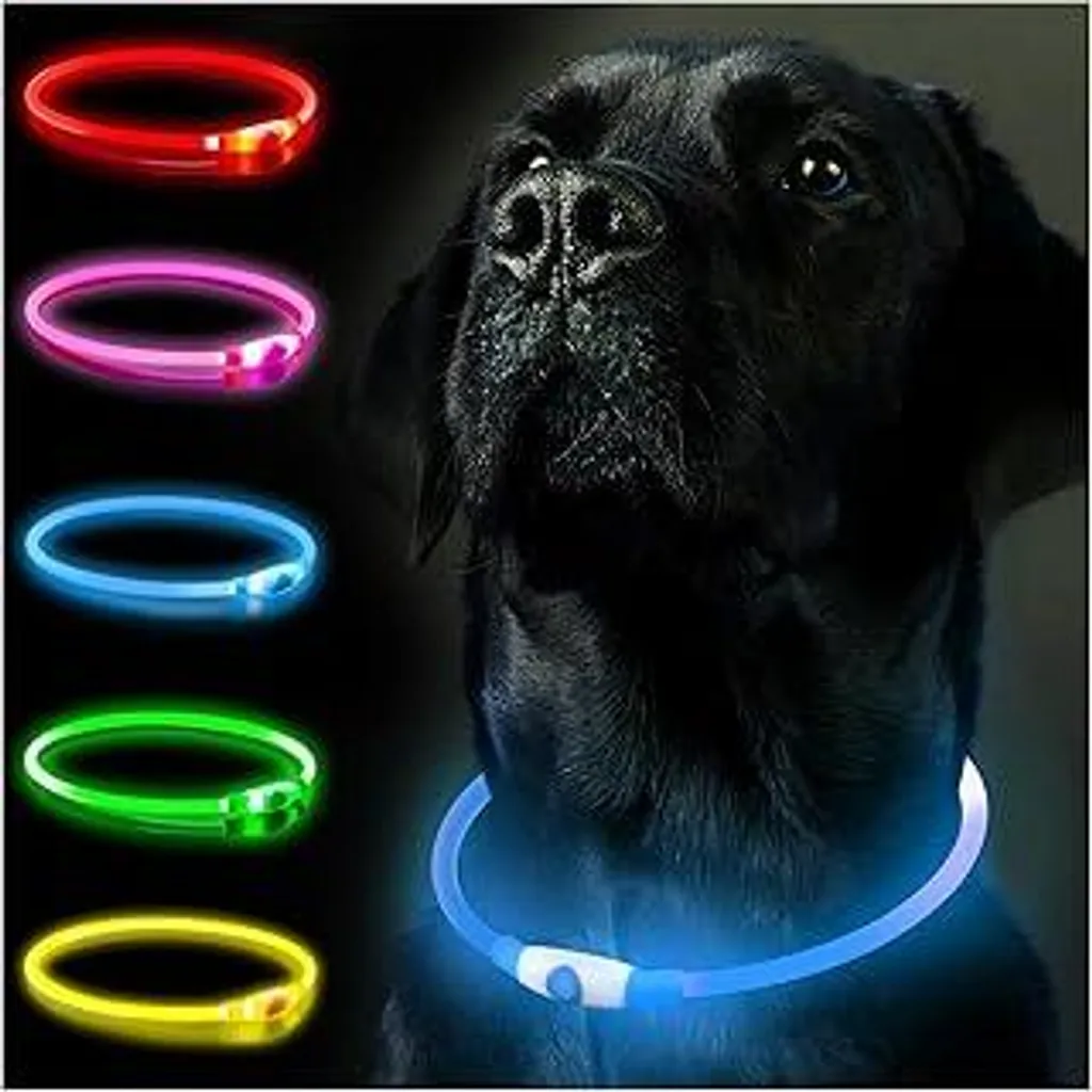 Collare Luminoso LED per Cani Regolabile | USB Blu Alta Visibilità
