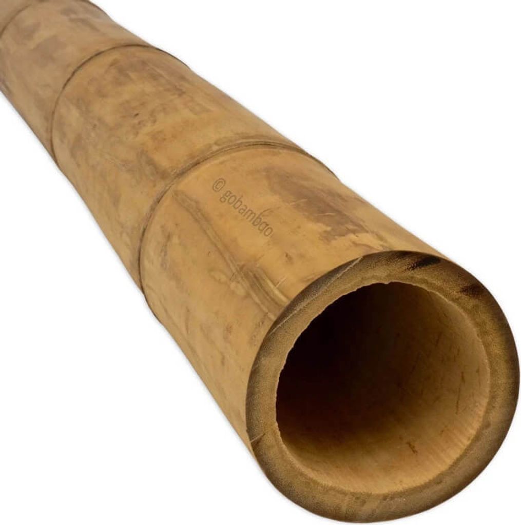 Bambusstange Guadua Ø 9-11cm 1m