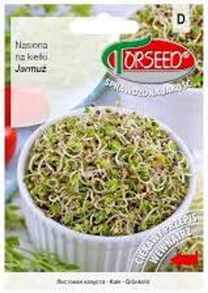 Jarmuż, nasiona na kiełki, odmiana o wysokiej zawartości Zdjęcie produktu 