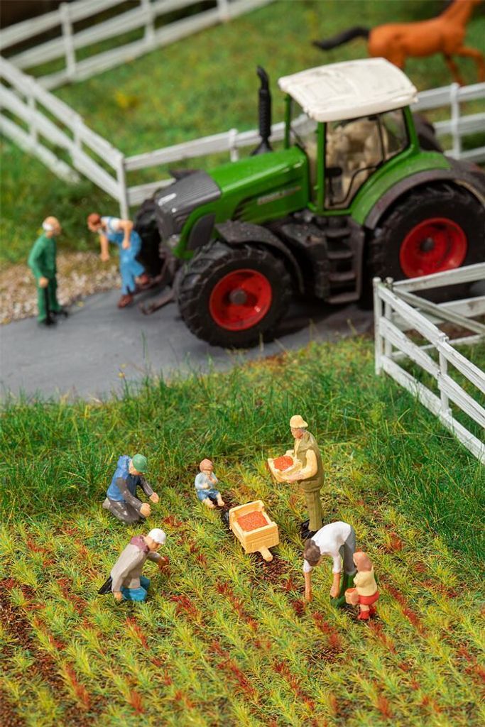 Faller 151659 - 1/87 / H0 Auf dem Erdbeerfeld - Neu