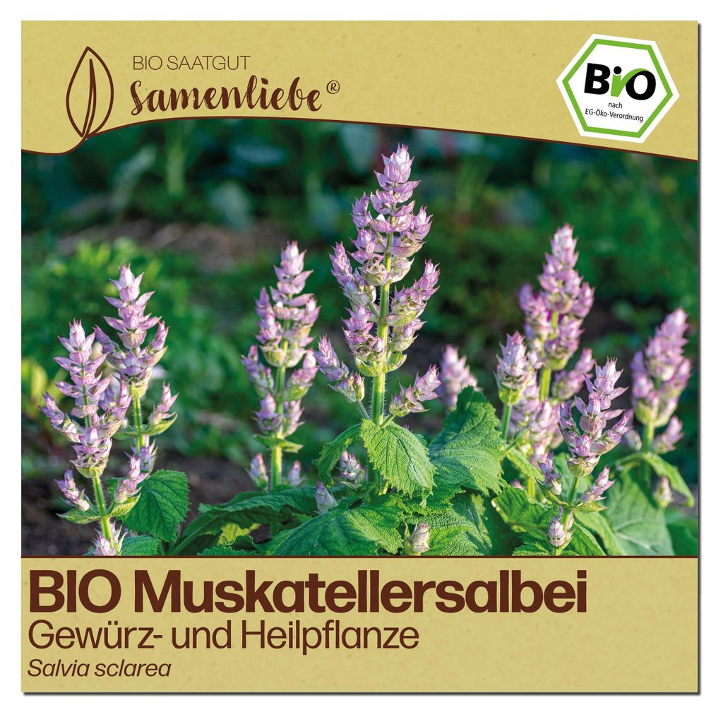 Samenliebe  Muskatellersalbei Samen | Heilpflanze - Produktbild 
