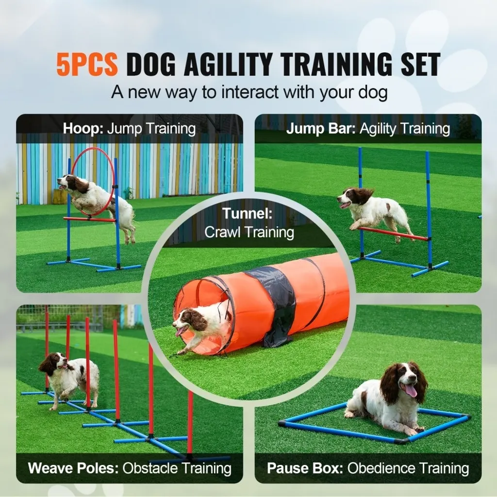 Set d'Agility pour Chiens : Équipement de Saut et Tunnel d'Extérieur