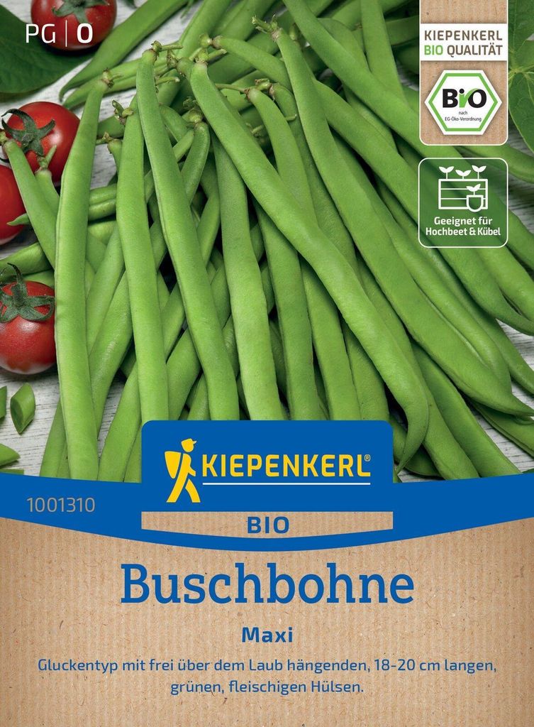 Kiepenkerl Buschbohnensamen Maxi Phaseolus vulgaris nanus 5 - 7 m²