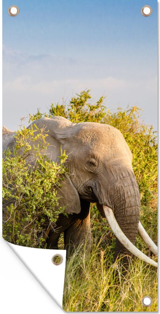 MuchoWow 30x60 cm Outdoor-Poster Gartendeko Sichtschutz Garten Poster für den Garten Elefant versteckt sich hinter Büschen