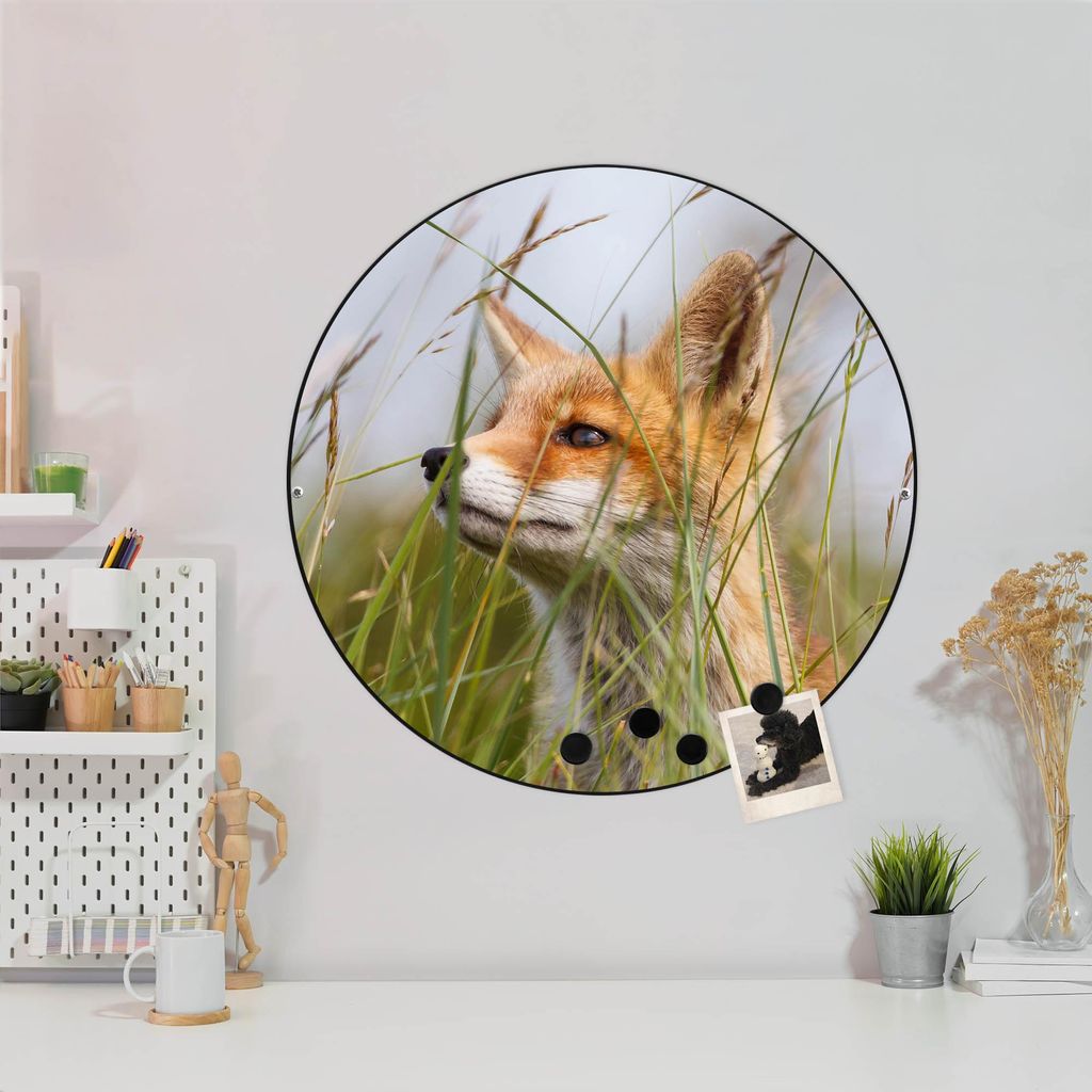 Design Stahlmagnettafel Schwarz Rund 47cm Fuchs